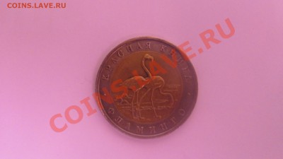 50р фламинго 94г (КК) до 06.09 в 22-00 - флами.JPG