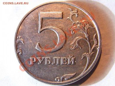 Браки-расколы,выкрошка - R0012490.JPG