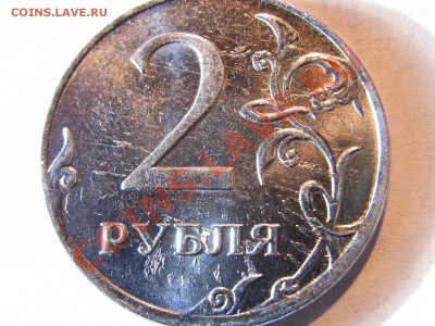 Браки-расколы,выкрошка - R0012491.JPG