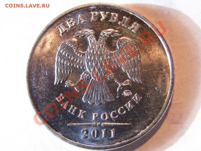 Браки-расколы,выкрошка - R0012492.JPG