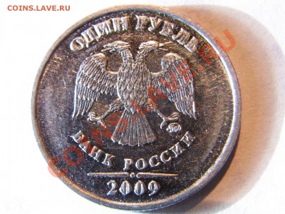 Браки-расколы,выкрошка - R0012494.JPG