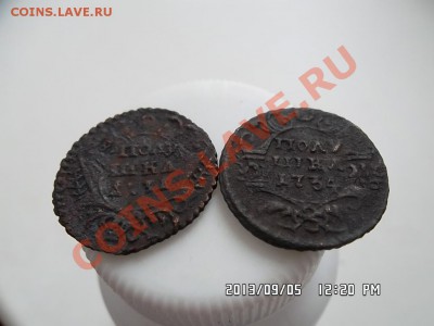 полушки 1731 и 1734 годов - SAM_2050.JPG