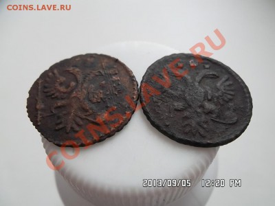 полушки 1731 и 1734 годов - SAM_2051.JPG