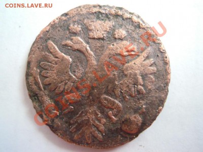 денга 1731 г. без черты - DSCN4239.JPG