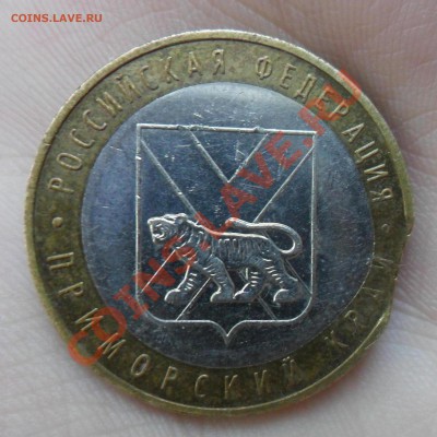 10 рублей Приморский край Выкус и Сдвиг до 8.09.13 в 21.00 - SAM_1331.JPG