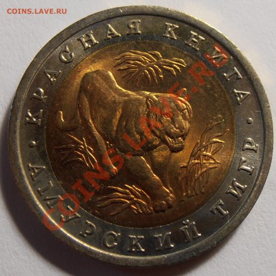 10 рублей 1992, КК, Амурский Тигр, до 12.09.2013 в 22-00 - P9060078.JPG
