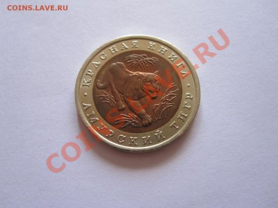 10 рублей Амурский тигр 1992 состояние 12.09 22:15 - IMG_8325.JPG