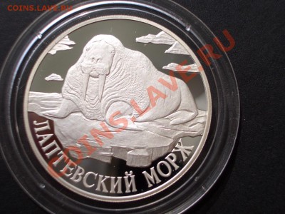 1 рубль Лаптевский морж 1998г. -  13.09.13-22.00 Мск. - CIMG0476.JPG