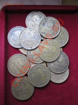 5 копеек 14 штук ранний ссср - IMG_1319.JPG