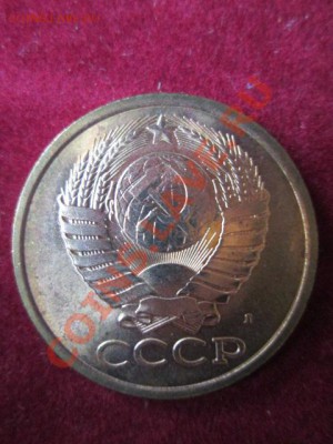 5 копеек 1991л-5 штук из мешка - IMG_1331.JPG