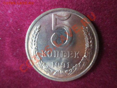 5 копеек 1991л-5 штук из мешка - IMG_1336.JPG