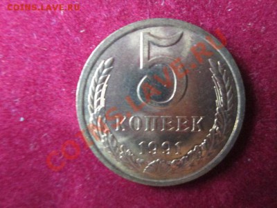 5 копеек 1991л-5 штук из мешка - IMG_1338.JPG