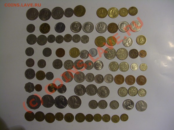 Экзотика - CIMG7616.JPG