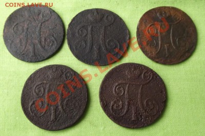 5 Павловских копеек уставших до 12.09.13 до 22-00 - DSCF6153.JPG
