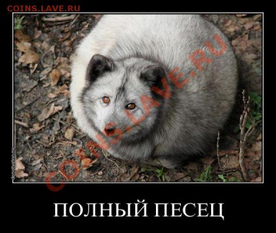 юмор - bb3c52e9a22bcfb6dac9204c8dbd9