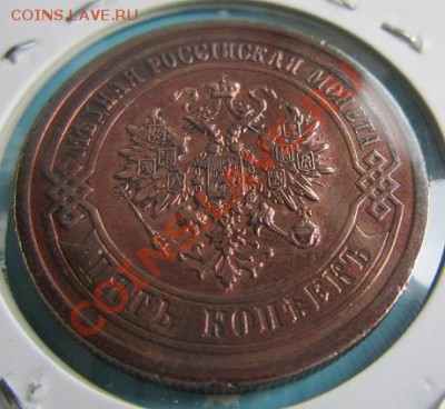 5 коп. 1911 г. Шикарный сохр.---------14,09,13 в 22,00 Моск - IMG_6261.JPG