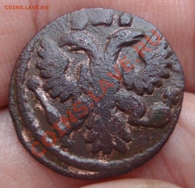 полушка 1736г - Полушка 1736_2