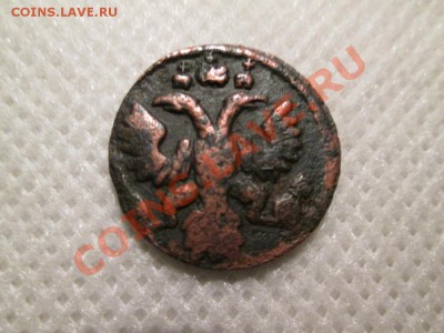 полушка 1735г.  орёл? - IMG_0474 (1000x750)