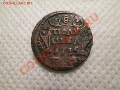 полушка 1735г.  орёл? - IMG_0469 (1000x750)