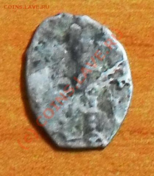 подскажите по чешуе - SDC10826.JPG