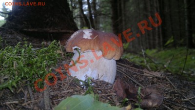 ФОТООТЧЁТЫ ПО ВЫЕЗДАМ, СЕЗОН 2013. - 310820134103