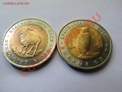 Красная книга, 1991 г. до 16 сентября 21-00 - IMG_0090.JPG