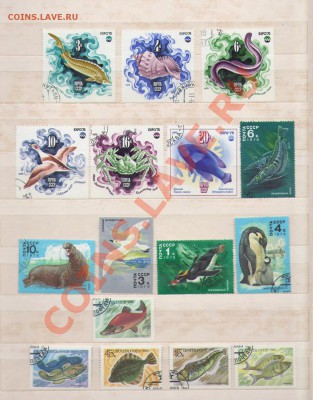 Лошади, флора, фауна - марки СССР, Китай 80е ,оценка - fauna2