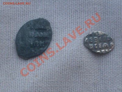 Две чешуйки - SDC12049.JPG