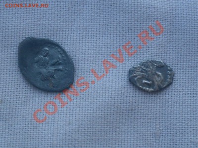 Две чешуйки - SDC12050.JPG