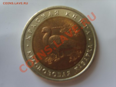10р. Красная Книга.Казарка.1992г.до 16.09.2013.до 22.00. - S8305061.JPG