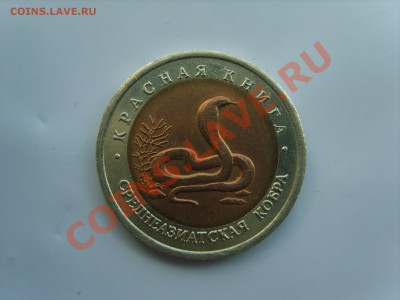 10р. Кр.Книга.Тигр.Кобра.Казарка.1992г.до 16.09.13. до 22.00 - S8305081.JPG