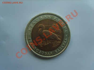 10р. Кр.Книга.Тигр.Кобра.Казарка.1992г.до 16.09.13. до 22.00 - S8305083.JPG