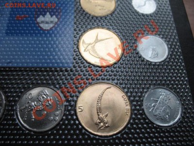 Словения, набор, фауна, упаковка, до 16.09 в 22-00 мск - IMG_3572.JPG