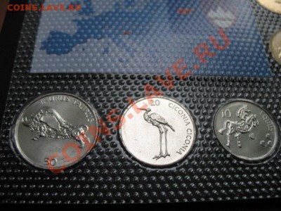 Словения, набор, фауна, упаковка, до 16.09 в 22-00 мск - IMG_3571.JPG