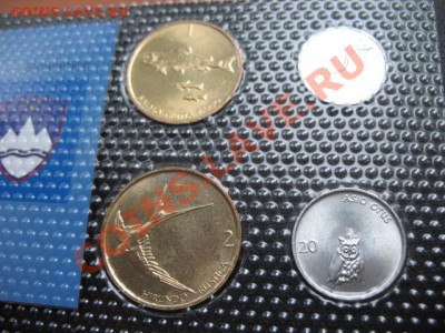 Словения, набор, фауна, упаковка, до 16.09 в 22-00 мск - IMG_3570.JPG