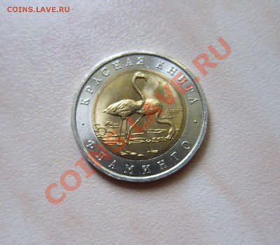 КРАСНАЯ КНИГА 1994г. ФЛАМИНГО. до 15.09 21-30 мск - Фламинго_1