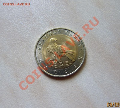 КРАСНАЯ КНИГА 1994г. САПСАН. до 15.09  21-00 мск - Сапсан_1