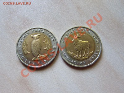 КРАСНАЯ КНИГА 1991г. до 15.09 22-30 мск - КК_91_1