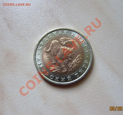 КРАСНАЯ КНИГА 1992г. АМУРСКИЙ ТИГР. 15.09 21-00 мск - Тигр_1