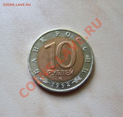 КРАСНАЯ КНИГА 1992г. КРАСНОЗОБАЯ КАЗАРКА 15.09 22-00 мск - Казарка_2