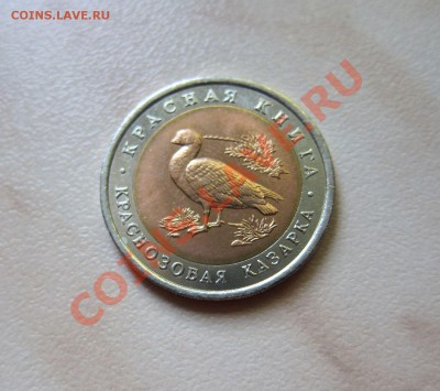 КРАСНАЯ КНИГА 1992г. КРАСНОЗОБАЯ КАЗАРКА 15.09 22-00 мск - Казарка_1