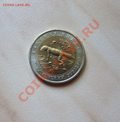 КРАСНАЯ КНИГА 1993г. ТУРКМЕНСКИЙ ЗУБЛЕФАР 15.09 21-30 мск - Зублефар_1