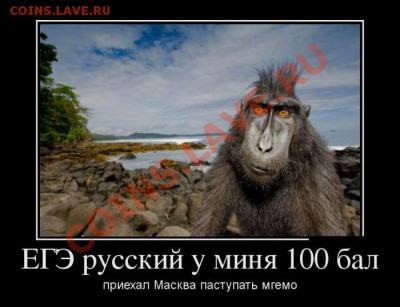 юмор - 31510974
