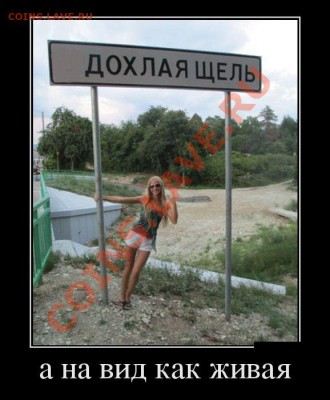 юмор - 67663499