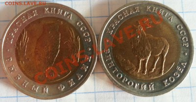 Красная Книга 1991г до 17.09.2013 - 1