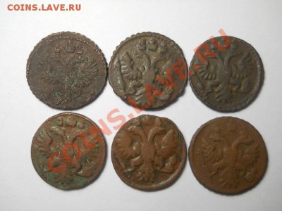 полушка 1730, 31, 34, 35, 36, 37 г  до 17.09.13   22.00 мос - DSCN0501 (640x480)