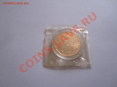 100 рублей Ломоносов 1992 21.09 22:00 - IMG_6569.JPG