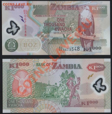 Замбия 1000 квача 2011 (пластик) до 19.09. 22.00 мск - шдп 001