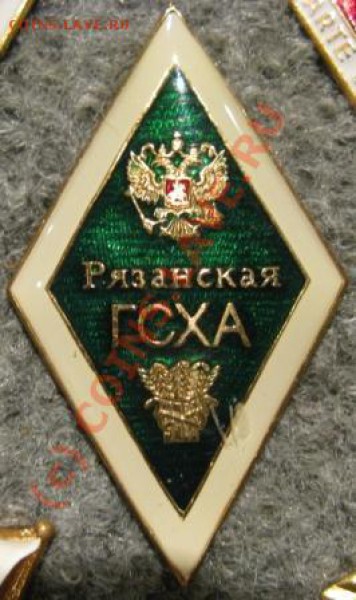 ромбы - РОмб Ряз ГСХА.JPG