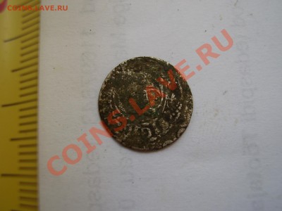 Маленькое серебро 2 - P1010334.JPG